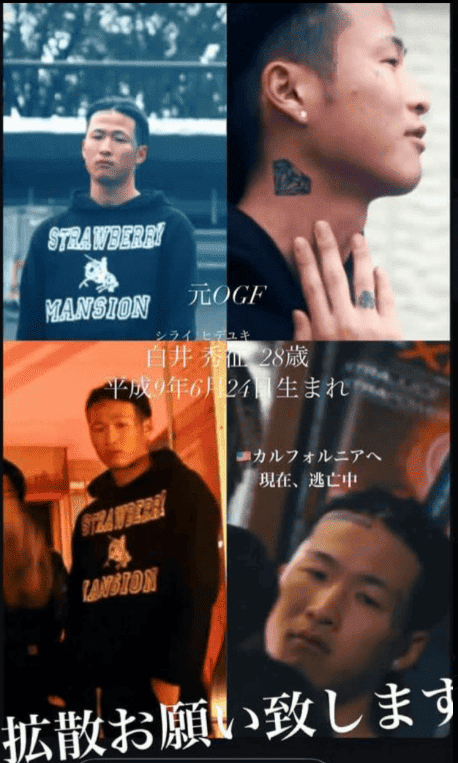 白井秀征とOGFの関係性
